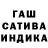 Метадон белоснежный Amanita Castanea