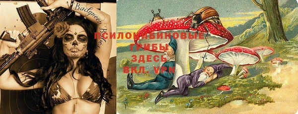 МДПВ Абдулино