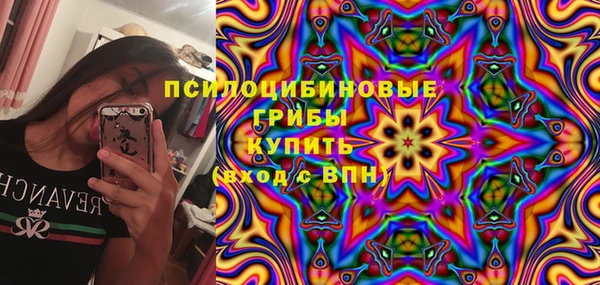 МДПВ Абдулино